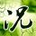 蓝山球队第一季
